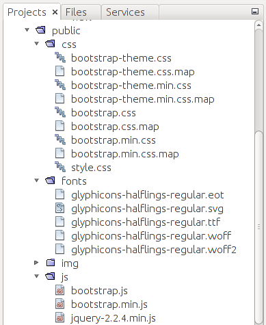 Figure C.1. Structure of the APP_DIR/public directory