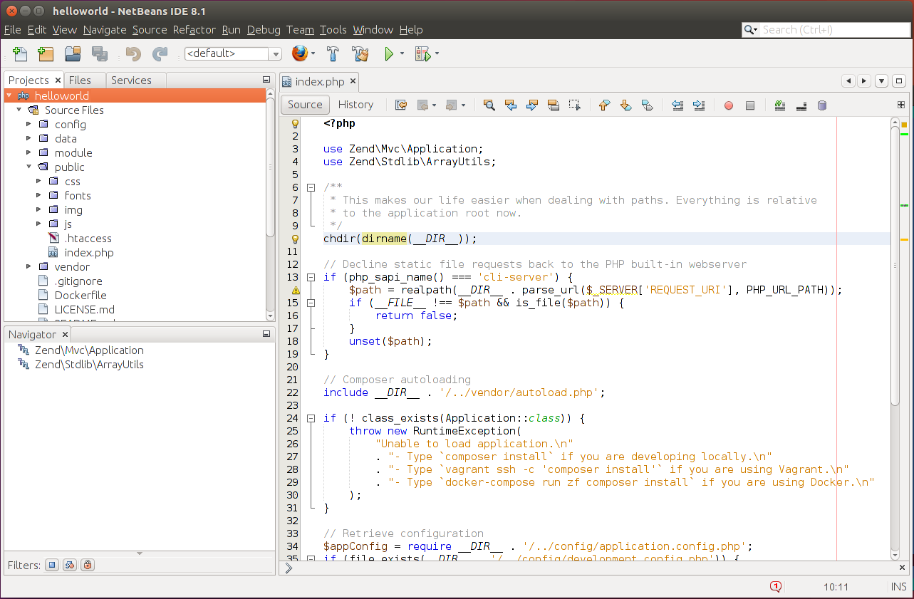 Figure 2.7. NetBeans Project Window